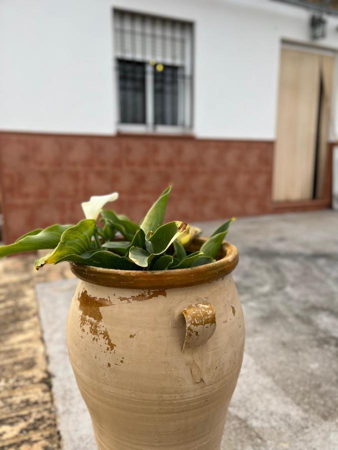 Agua De Verano San Bartolome de la Torre Exterior photo